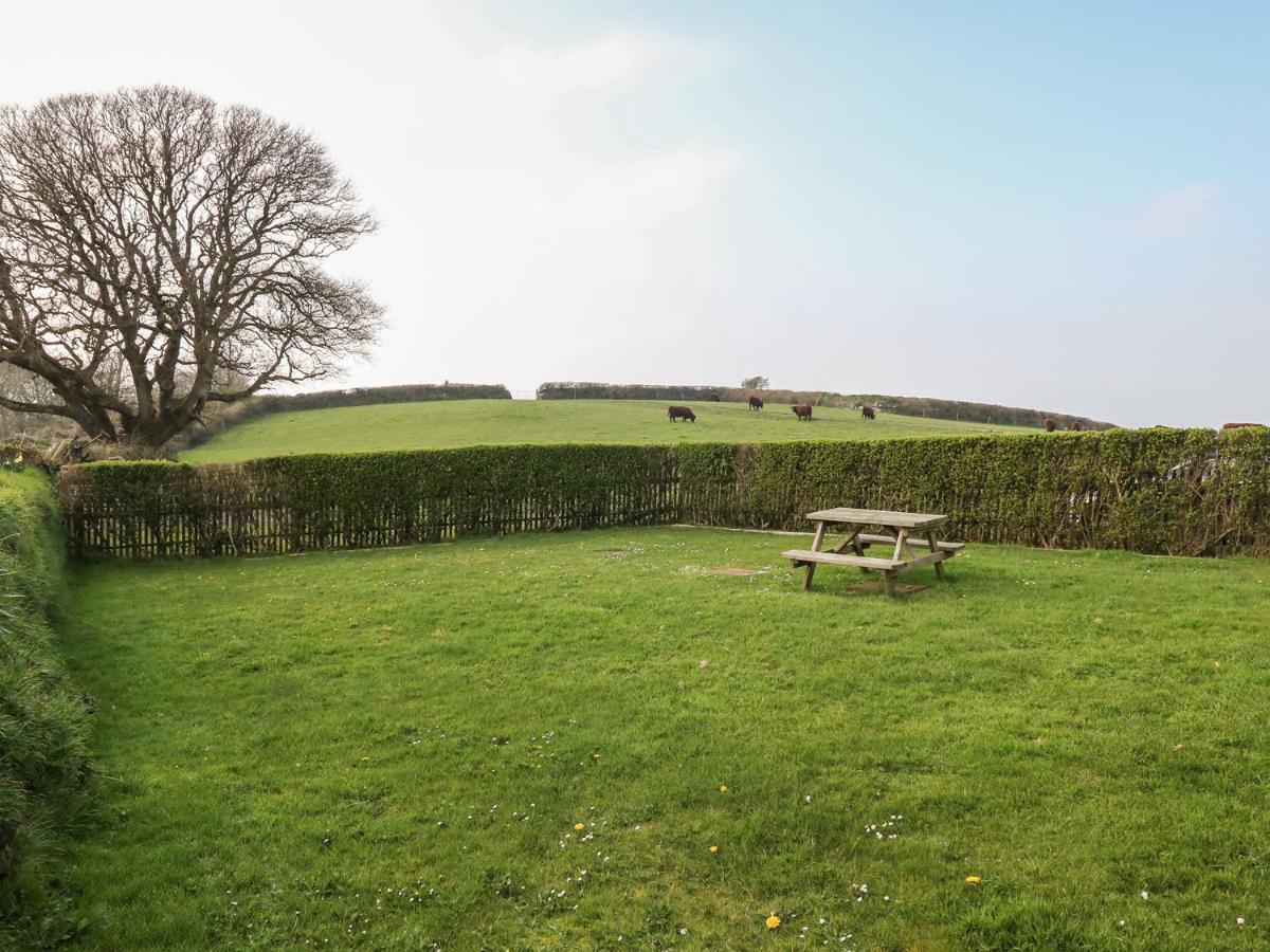 Home Farm Cottage, Boscastle Esterno foto